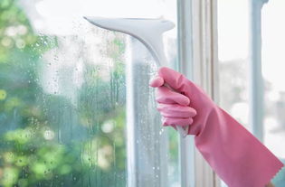 廷管家 专业家政与婚姻介绍，您的明智选择