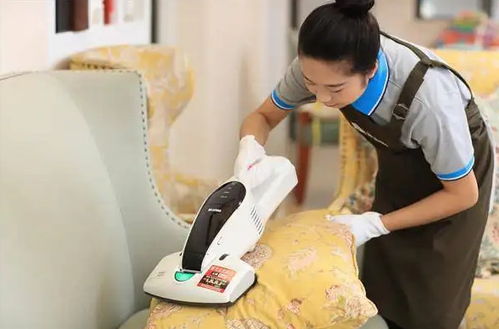 家政公司扩展婚姻介绍服务 多元化加盟新机遇